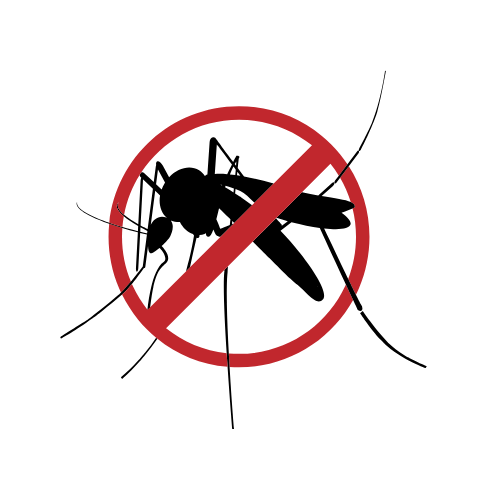 Dengue