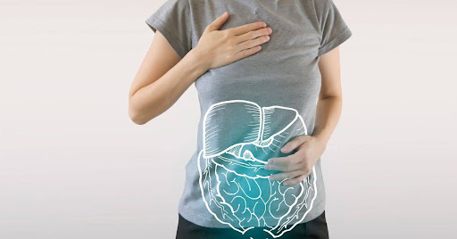 How the Digestive System Works: A Complete Guide