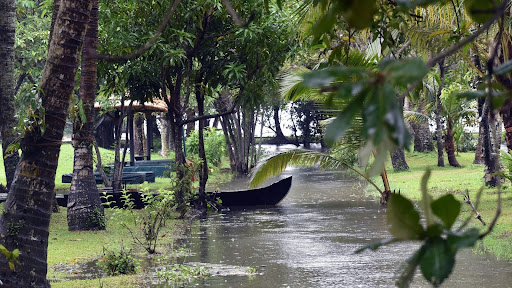 Monsoon Reset for Women: How Homeopathy and Nutrition Create Resilience in Sawan