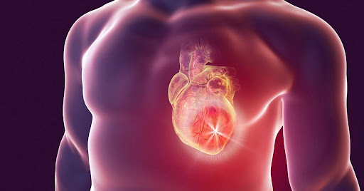 Is Heart Disease Genetic? Understanding Your Risk Factors