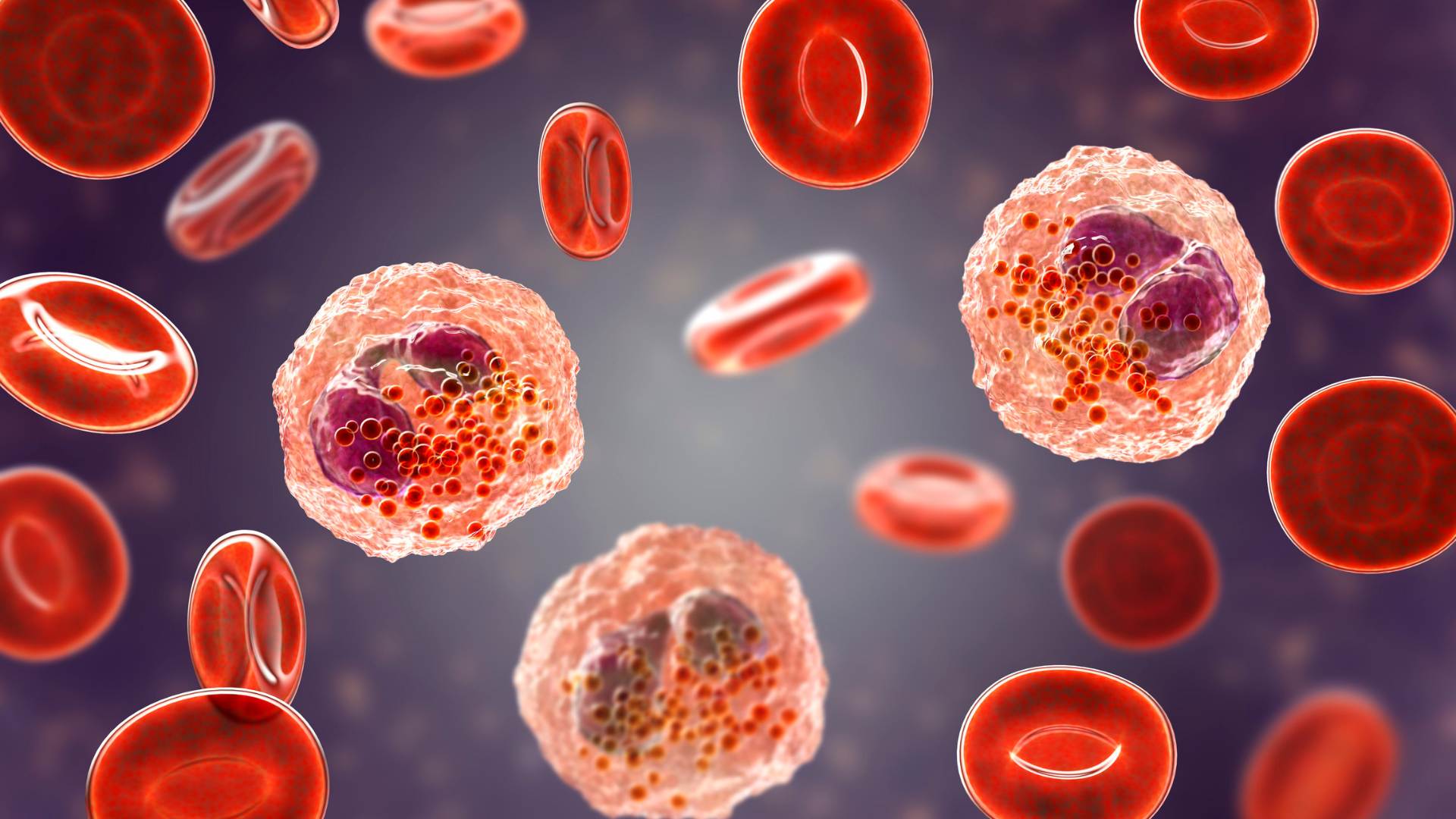 hematology