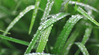 monsoon