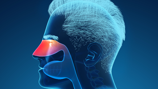 Why sinusitis gets worse during monsoon
