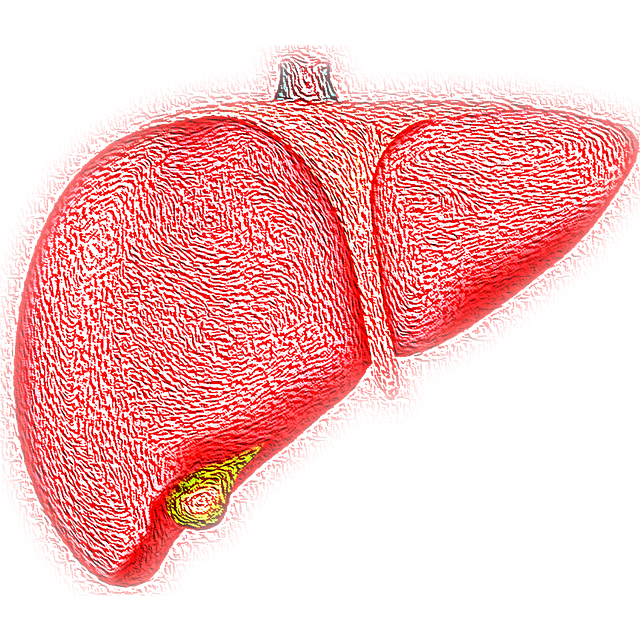How regular liver function tests can keep your liver healthy