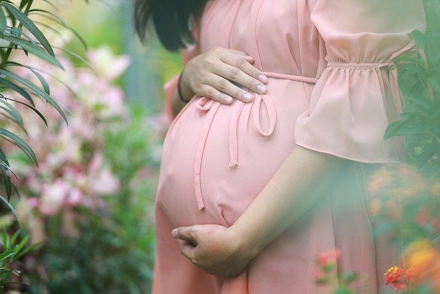What does a gynaecologist do for pregnancy?