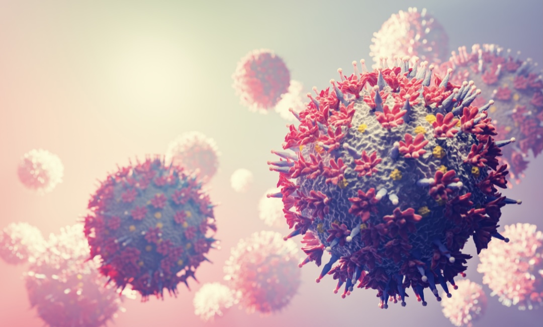 Coronavirus XE variant: All you need to know