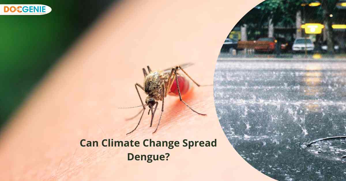 Climate change and dengue
