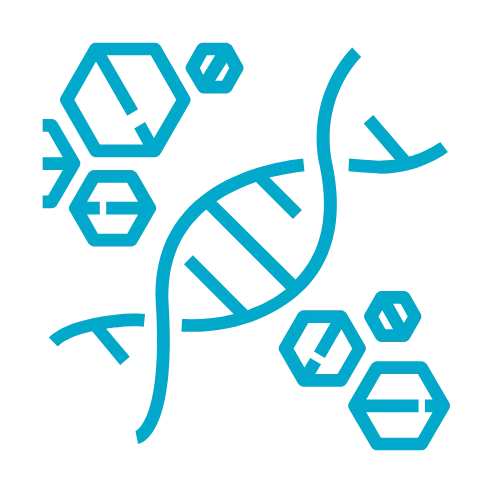 Medical Genetics
