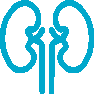 Nephrologist
